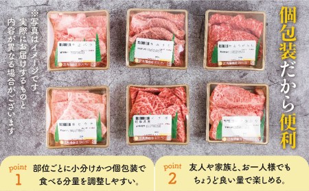 飛騨牛 焼肉6種食べ比べ 希少部位 各100g 飛騨牛 [Q1034x]