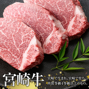 宮崎牛 ヒレステーキ(計450g・150g×3枚)国産 宮崎県産 宮崎牛 牛肉 ステーキ 霜降り A4 和牛 ブランド牛 ヒレ肉【MI012】【(株)ミヤチク宮崎加工センター】