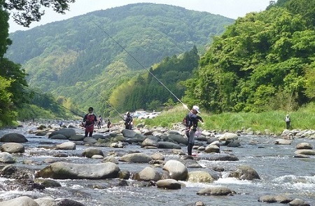 狩野川の冷凍鮎詰め合わせ
