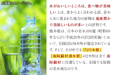 本格米焼酎 原酒 南阿蘇 1本720ml《60日以内に出荷予定(土日祝除く)》熊本県 南阿蘇村 SOCKET 焼酎 山田錦 酒
