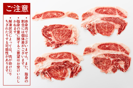 AG102.博多和牛ロースすき焼きセット（約400グラム）【博多和牛】