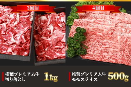 【定期便6回】総重量3.1kg 椎葉プレミアム牛満喫定期便≪ステーキ・すき焼き・しゃぶしゃぶ・焼き肉≫ 国産牛 黒毛和牛 和牛 牛肉 赤身 肉 定期便 ステーキ すき焼き しゃぶしゃぶ 焼肉 バーベキュー TK-56