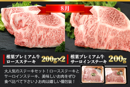 【定期便3回】総重量1.8kg 椎葉プレミアム牛 大自然の中で味わうBBQ定期便≪焼き肉・ステーキ≫ 国産牛 黒毛和牛 和牛 牛肉 赤身 肉 サーロイン ステーキ バーベキュー 焼肉 TK-60