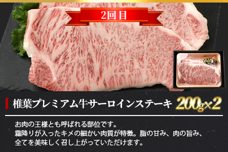 【定期便2回】総重量800g 椎葉プレミアム牛ステーキ定期便≪サーロインステーキ・ロースステーキ≫ 黒毛和牛 和牛 牛肉 赤身 肉 ステーキ サーロイン 焼肉 バーベキュー TK-61