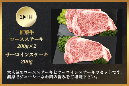 【定期便2回】総重量1kg 椎葉牛 ローストビーフとステーキの定期便 A5等級指定 国産牛 黒毛和牛 和牛 牛肉 赤身 肉 A5 ステーキ サーロイン ローストビーフ ブロック肉 焼肉 TK-64