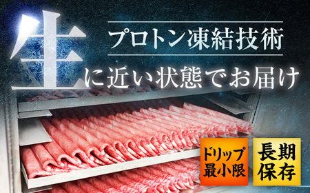 近江牛 すき焼き用 切り落し 500g 元三フード 近江牛 [BIBH005]
