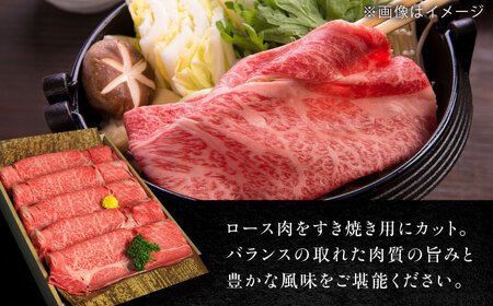 近江牛 A4等級以上 肩ロース すき焼用 500g  / 牛肉 和牛 国産牛 黒毛和牛 A5 すき焼き用 霜降り / 栗東市 / 元三フード株式会社[BIBH003]