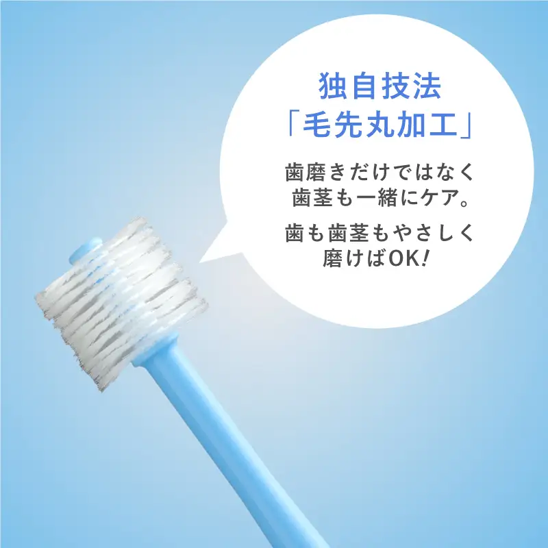 360度毛歯ブラシ「POPOTAN　優」15本セット