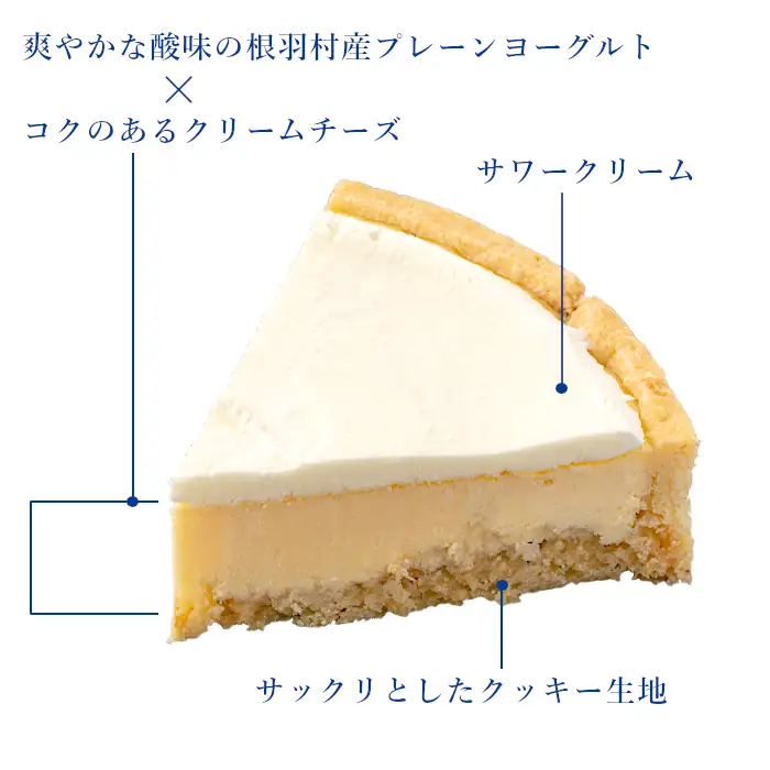 さくさく！大人気★ヨーグルトフロマージュタルト 2箱 5号サイズ (約15cm) 