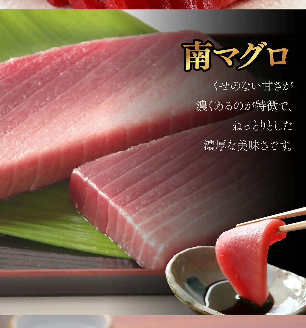 【中トロ】天然南マグロ　中トロ　１柵　【解凍書付】まぐろ 鮪 海鮮 冷凍 さしみ 刺身 父の日 高知 室戸 マグロ