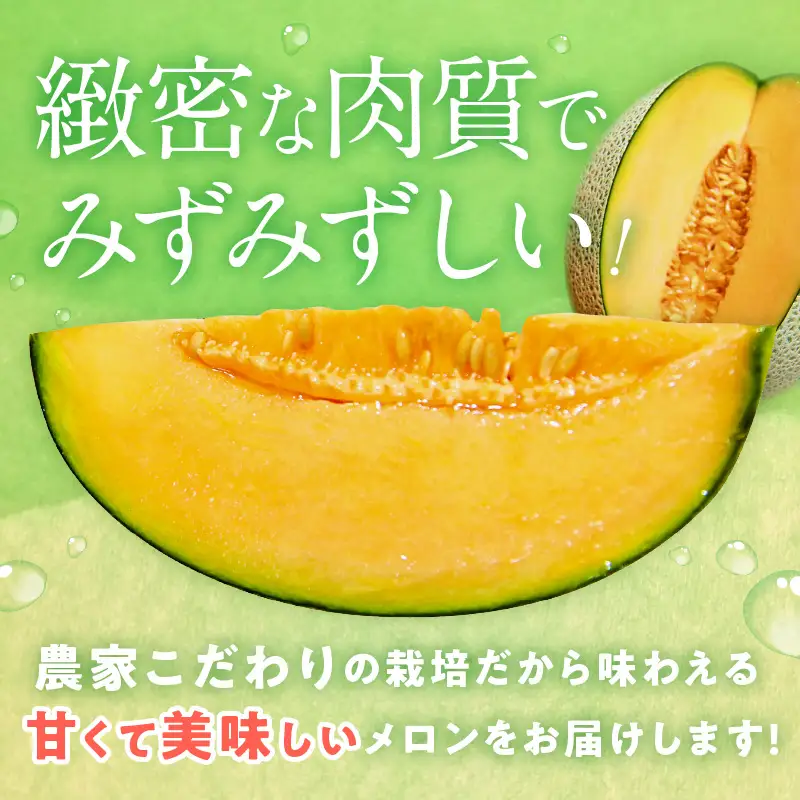 【数量限定100】ゆめろんファームの赤肉メロン（訳あり品）（2026年6月上旬～発送） 国産 ふるさと 納税 メロン 赤肉 1玉 ふるさと 納税 期間限定 ふるさと 納税 訳あり 規格外 フルーツ