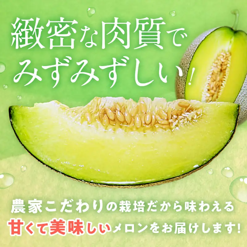 【数量限定100】ゆめろんファームの青肉メロン（訳あり品）（2026年6月上旬～発送） 国産 ふるさと 納税 メロン 青肉 1玉 ふるさと 納税 期間限定 ふるさと 納税 訳あり 規格外 ふるさと 納税 フルーツ