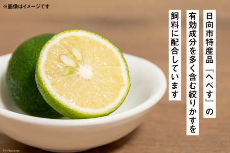 【宮崎ブランドポーク】へべす豚 焼肉 (モモ・バラ) & 豚しゃぶ (ロース) 各500g 計1.5kg [JAみやざき 日向肉豚部会 宮崎県 日向市 452061312]