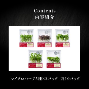 【マイクロハーブ セット（B）／イノベーティブ5】 [h173]