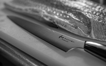 和 NAGOMI Professionalスライサー包丁 240mm