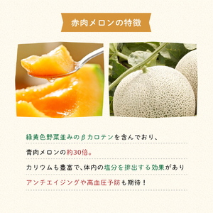 【2026年8月発送】JAふらの 赤肉メロン 2玉 計3.2kg 富良野市 メロン フルーツ 果物