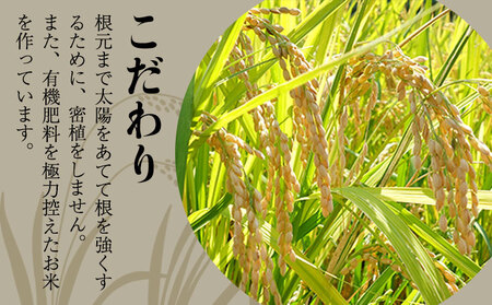 【令和8年産】先行予約 『児玉農園』にこまる 5kg 5kg×1袋《10月下旬-11月中旬頃出荷》 お米 米 精米 国産 熊本 九州 玉東町 産地直送