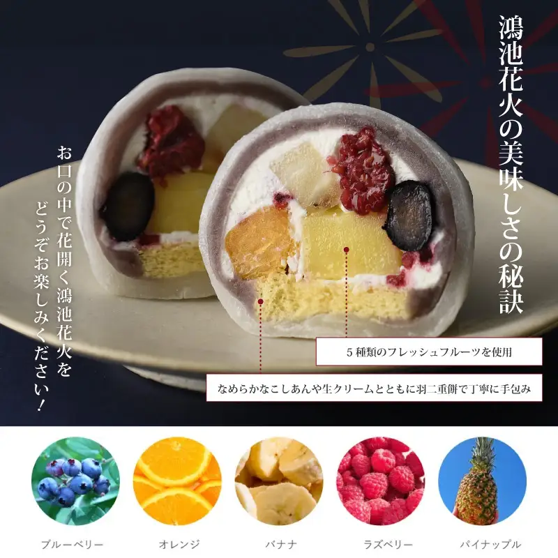  五條堂（GOJODO）の鴻池花火6個入★多数のメディアで紹介されました★