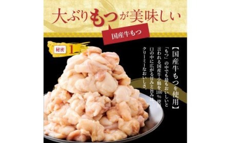 やまや　博多もつ鍋　こく味噌味（1～2人前）_TY0901