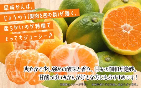 【先行受付】2026年の秋に配送！福岡県オリジナル品種極早生みかん『早味かん』約5kg＜配送不可：北海道・沖縄・離島＞ 果物 フルーツ ミカン おいしい 八女 072-001