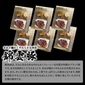 【ブランド豚肉】お米育ちの錦雲豚　お肉ゴロゴロ！ポークカレー（辛口）6食_FN1102