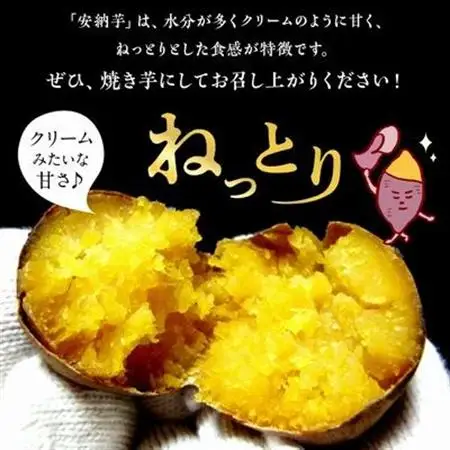 さつまいも 「安納芋」3kg【1185962】