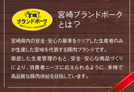 【宮崎ブランドポーク】豚バラ焼肉1kg N061-YA4417