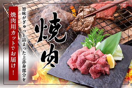 あか牛 赤身焼肉用 1kg (250g×4個) 有限会社白水乃蔵《60日以内に出荷予定(土日祝除く)》あか牛 あかうし 赤牛 焼肉 冷凍 小分けパック