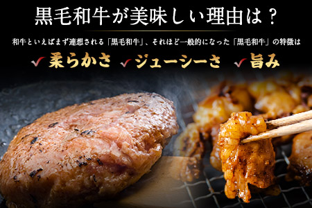 黒毛和牛漬け込みホルモン・ハンバーグセット（計14袋） 絶品 ブランド牛 黒毛和種 有限会社トップルーフ《60日以内に出荷予定(土日祝除く)》
