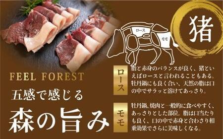 飛騨ジビエ 猪肉 しゃぶしゃぶ 300g | ジビエ 株式会社かりびと HN006