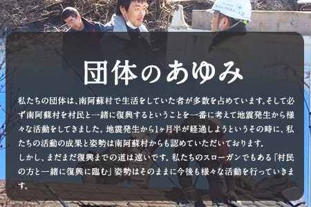 水の生まれる郷　南阿蘇5年保存水 300ml×30本 一般社団法人ロハス南阿蘇たすけあい 《60日以内に出荷予定(土日祝除く)》 熊本県南阿蘇村 保存水