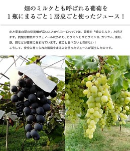 幸田町産ぶどう使用（無添加、無糖、無加水）100％ジュース 多種類 6本詰め合わせ 180ml×6本 合計1080ml ｜ ぶどうジュース 葡萄ジュース 巨峰 デラウェア 甲斐路 ベリーA セミヨン ナイアガラ アレキサンドリア コンコード 種ぶどう 愛知県 幸田町
