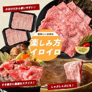 A5等級鹿児島県産黒毛和牛霜降りリブローススライス400g カミチク IB112-011 牛肉 牛肉