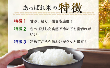 【令和8年産・早期予約受付】北海道産 津別町あっぱれ米（精米）10kg | 米 お米 新米 白米 精米 国産米 農家直送 産地直送 北海道 津別町 送料無料