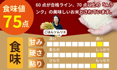 佐賀ブランド米 さがびより （10kg） 肥前糧食 C250-012