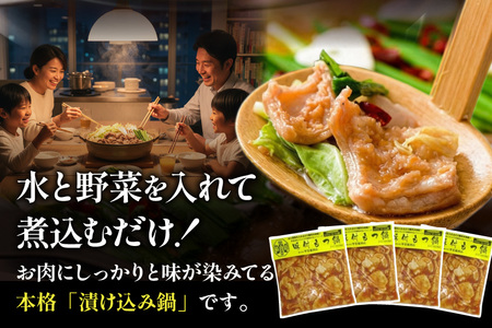 九州産 豚もつ鍋セット 400g×4袋 1.6kg [甲斐精肉店 宮崎県 日向市 452060708]