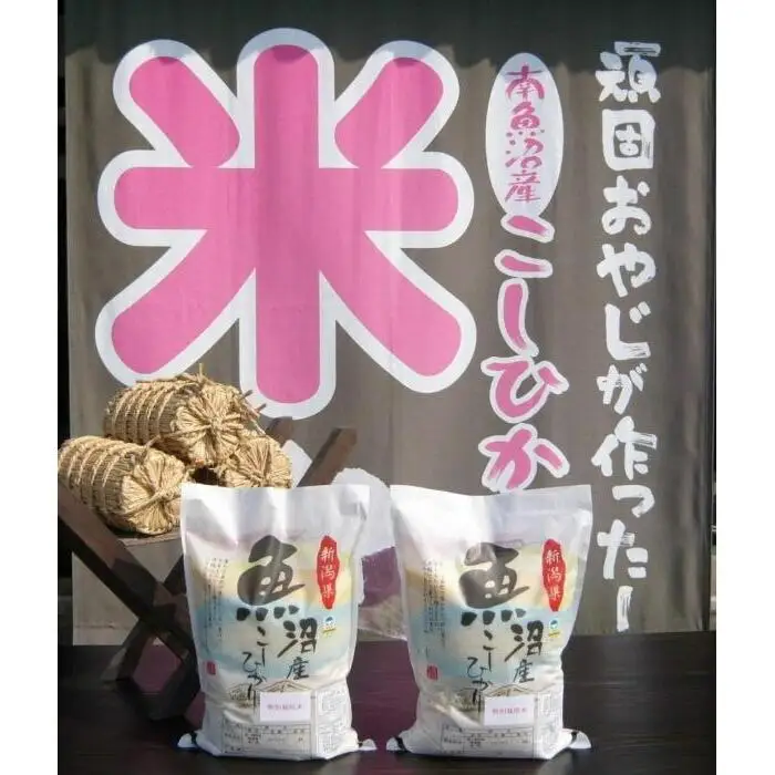 【令和７年産】12か月定期便　がんこおやじが作った南魚沼産コシヒカリ白米１０kg（５kg×２袋）【定期便 銘柄米 ブランド米 精米 こしひかり コシヒカリ 魚沼産 新潟米 産地直送 お米 米 こめ コメ ご飯 御飯 ごはん】