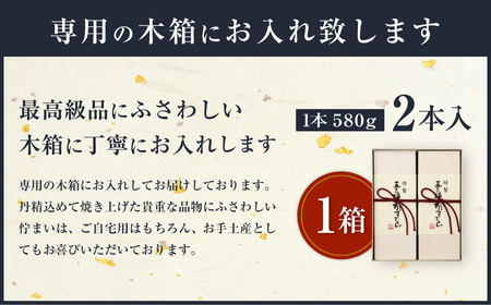 異人堂 特製 五三焼かすてら詰め合わせ 2号セット 580g×2本