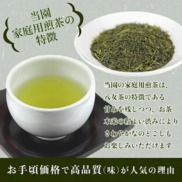 八女茶100％ 家庭用業務用煎茶 100g×10袋 お手頃品！＜岩崎園製茶＞ 八女茶 煎茶 産地直送 無添加 無着色 たっぷり お手頃 家庭用 業務用 大容量 福岡県 八女市 075-010