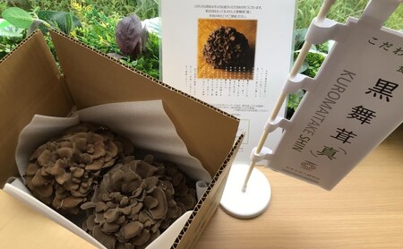 黒舞茸「真」 1kg きのこ マイタケ HNNAW001 | 埼玉県飯能市
