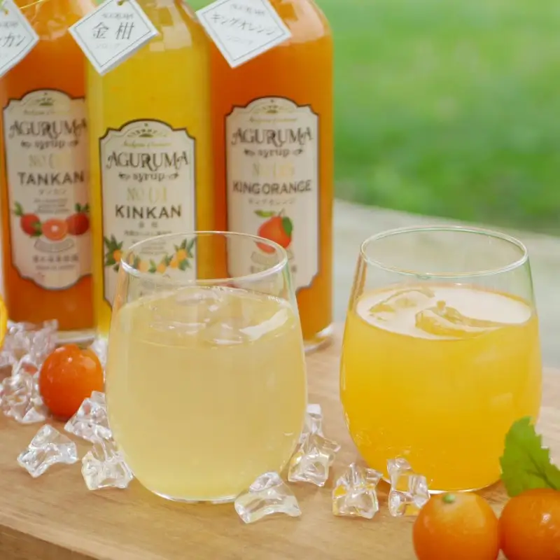 手作りフルーツシロップ 300ml×7本セット