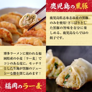 【訳あり・業務用】鹿児島県志布志産黒豚100％使用!南国熊曽黒豚餃子(60個) a1-060