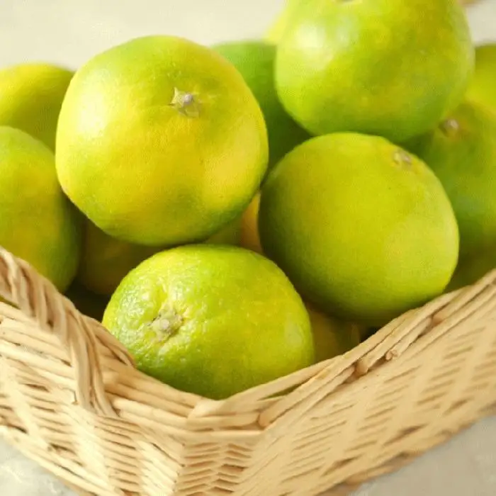 ［極早生みかんの逸品］和歌山県産ゆら早生みかん約5kg★2026年10月中旬頃より順次発送［TM120］