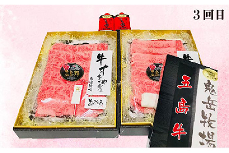 【6回定期便】五島牛タイプA（ソース付） 五島市/鬼岳牧場[PEK029] 国産牛 牛肉 ブランド牛 セット