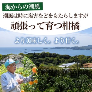 宮崎県門川町産せとか(約3kg) 柑橘 果物 数量限定 期間限定 国産 フルーツ 常温保存 遠見半島 宮崎県 門川町 【AE-18】【勝農園】