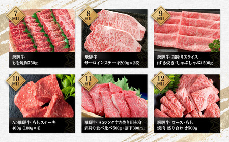 【飛騨牛 定期便】＜全12回＞ 毎月届く 計6.85kg | 肉 牛肉 大満足 お楽しみ ステーキ しゃぶしゃぶ 食べ比べ 焼き肉 すき焼 サーロイン サイコロ ランプ 赤身 黒毛和牛 岐阜 高山 人気 おすすめ 飛騨高山 ZZ010
