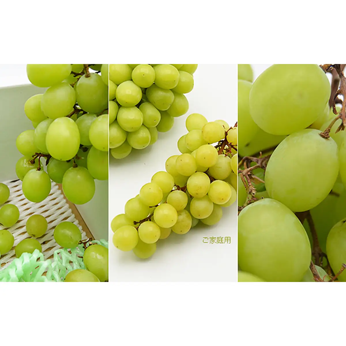 【ご家庭用】山形のシャインマスカット 優品 約2kg(2～6房)[9月中旬～10月中旬発送]【令和8年産先行予約】FS24-578 くだもの 果物 フルーツ 山形 山形県 山形市 2026年産