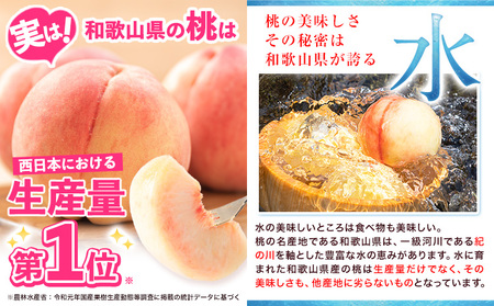 桃 紀の里の桃 約4kg