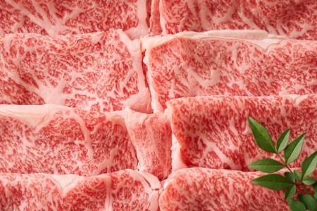 博多和牛 A4以上 すき焼きセット 500g [MEAT PLUS 福岡県 筑紫野市 21761003]