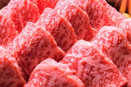 博多和牛 A4以上 焼肉セット 500g [MEAT PLUS 福岡県 筑紫野市 21760740]